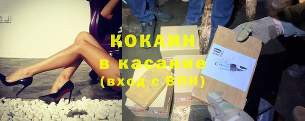 индика Абинск
