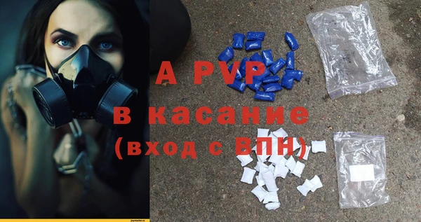 индика Абинск