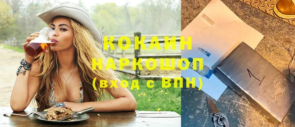 индика Абинск