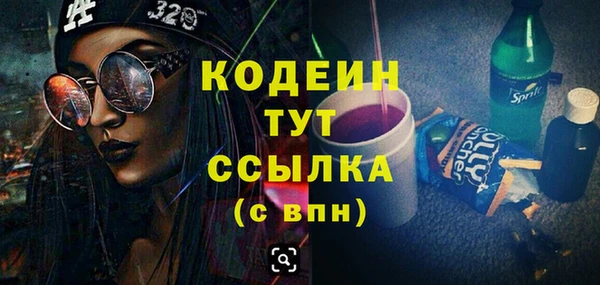 индика Абинск