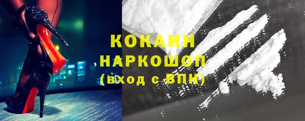 индика Абинск