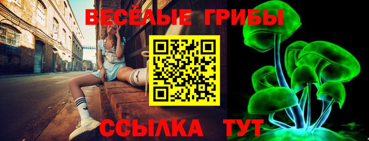 Галлюциногенные грибы Psilocybe  Псилоцибиновые грибы мухоморы  Вход с VPN  Зеленодольск 