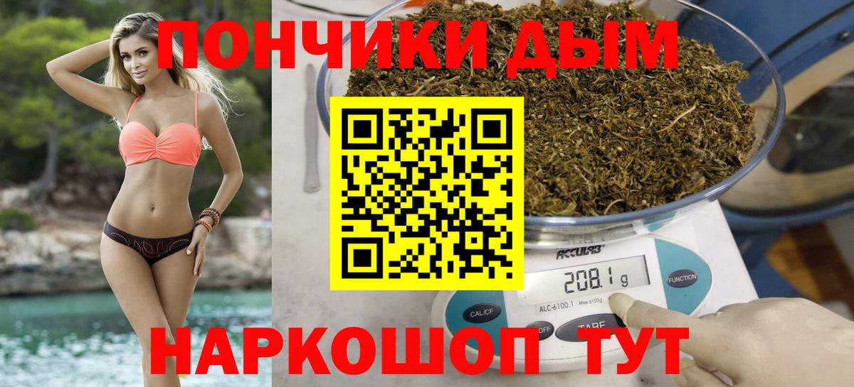 Бошки марихуана сатива Зеленодольск